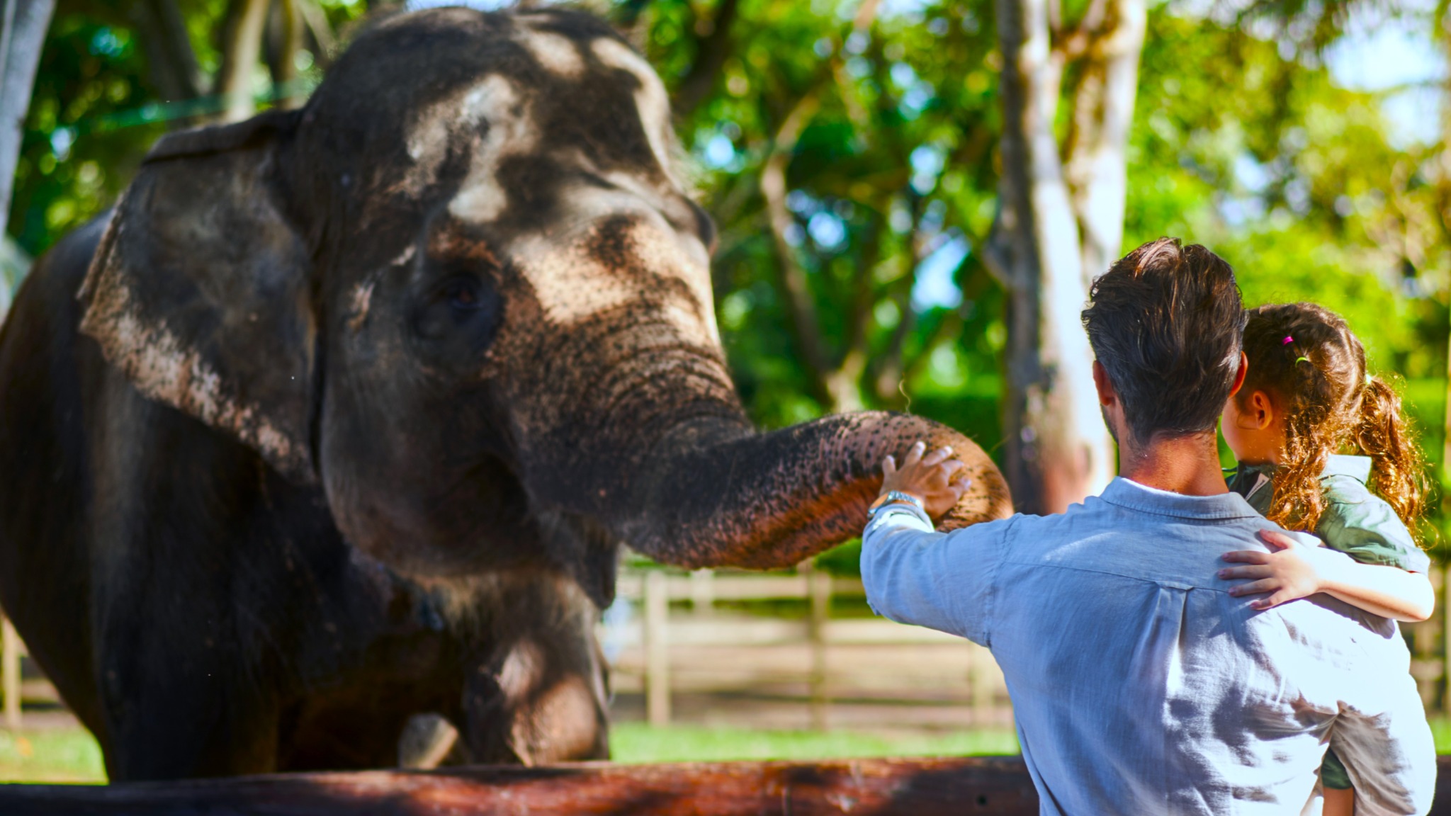 Breakfast with Orangutan at Bali Zoo & Elephant expedition